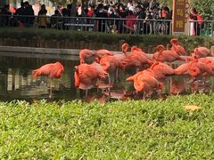 -石家庄极地海洋世界