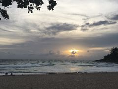 -小海豚国际游泳培训中心(浦东源深体育中心店)