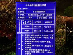-紫金山山顶公园
