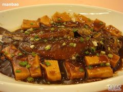 小黄鱼烧豆腐-上海老饭店(北京分店)