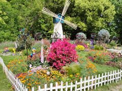 -上海共青森林公园