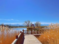 -野鸭湖国家湿地公园