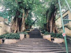 -龙环葡韵住宅式博物馆