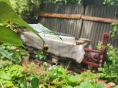 -斯多格书乡(北京大学畅春园店)