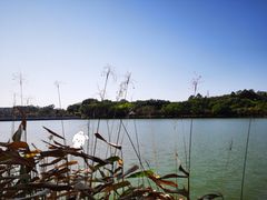 -南国桃园旅游度假区