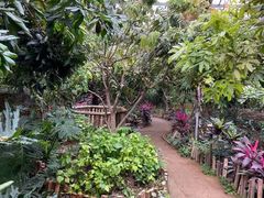 -呀路古热带植物园