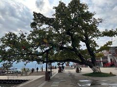-西昌邛海湿地