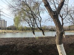 -九里河湿地公园