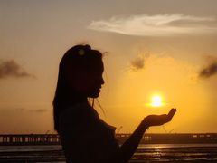 -宝安西湾红树林湿地公园