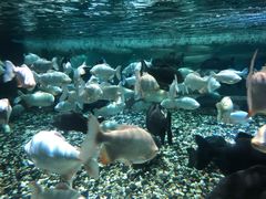 -成都浩海立方海洋公园