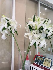点击看大图 -熙朵美学植发连锁