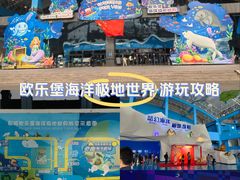 -泉城欧乐堡海洋极地世界