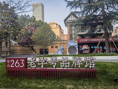 -华山263老字号品牌馆