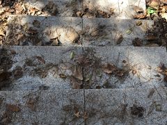 -沈阳辉山风景区