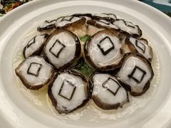 -丁老爷子苏香圆