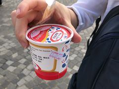-富豪雪糕车流动点(尖沙咀店)