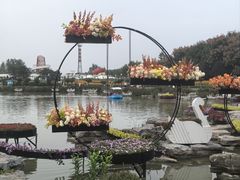 -荷兰花海