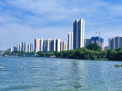-飞来湖湿地公园