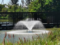 -翠湖国家城市湿地公园