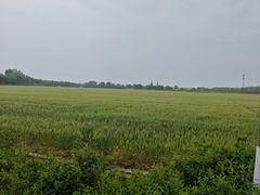 -嘉北郊野公园