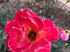 -人民公园(罗湖区)