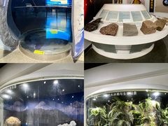 -中国第四纪冰川遗迹陈列馆
