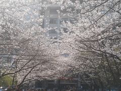 -南京林业大学-图书馆