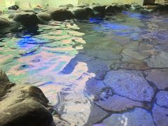-碧水豪园·足浴·SPA·汗蒸·那须汤泉(中山东路店)