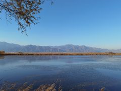 -野鸭湖国家湿地公园