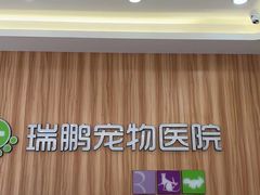 -瑞鹏宠物医院·骨科·猫科·内科(第一中心)