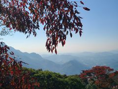 -广州市石门国家森林公园