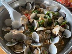 白贝-肥舅父農莊