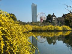 -成都南湖公园