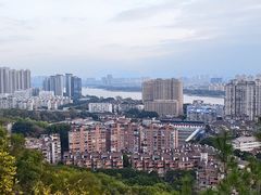 -福道