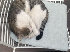 -UNI UNI(环亚凯瑟琳店)