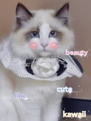 -闺蜜瑜伽·普拉提女性塑形馆