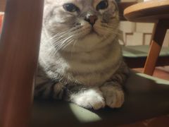 -H立方实景剧情密室(天河旗舰店)
