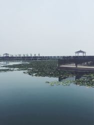 -红馆·发喆院