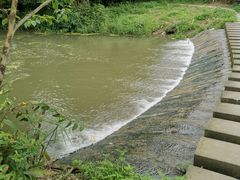 -桤木河湿地公园