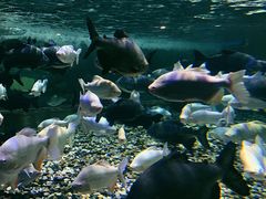 -成都浩海立方海洋公园