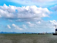 -大湾区中央湿地公园