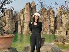 -秀丽东方