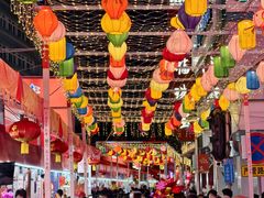 -越秀西湖花市(广州城市广场花卉店)