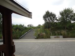 DSC08486-永定河休闲森林公园