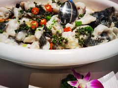 -陶缘一号·四季缘·老字号顺德菜·户外婚礼家宴(西滘店)