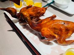 -大鸽饭(体育西路店)