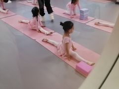 -蒲公英舞蹈艺术中心(促进路校区)