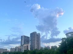 -金山公园