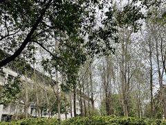 -东华大学(松江校区)