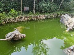 -燊海井